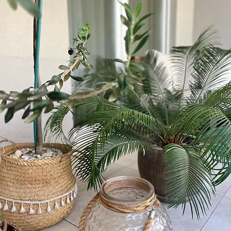 شقة Luxury Rinos - Free Garage Parking